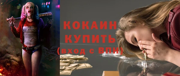ГАЛЛЮЦИНОГЕННЫЕ ГРИБЫ Гусев