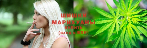 ГАЛЛЮЦИНОГЕННЫЕ ГРИБЫ Гусев