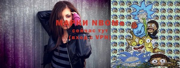 ГАЛЛЮЦИНОГЕННЫЕ ГРИБЫ Гусев
