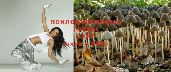 бошки Гусь-Хрустальный