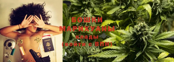 ГАЛЛЮЦИНОГЕННЫЕ ГРИБЫ Гусев