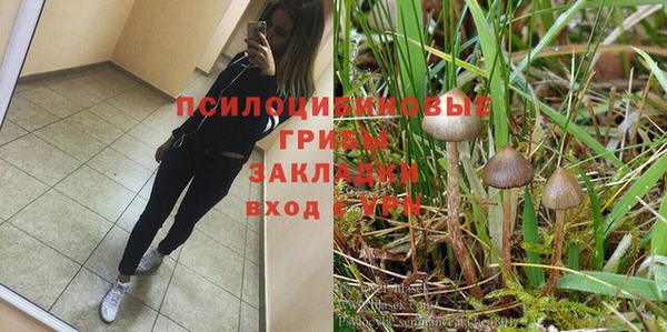 бошки Гусь-Хрустальный