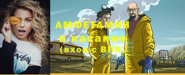 ГАЛЛЮЦИНОГЕННЫЕ ГРИБЫ Гусев
