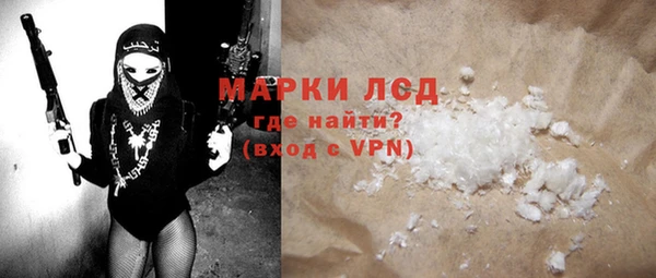 ГАЛЛЮЦИНОГЕННЫЕ ГРИБЫ Гусев